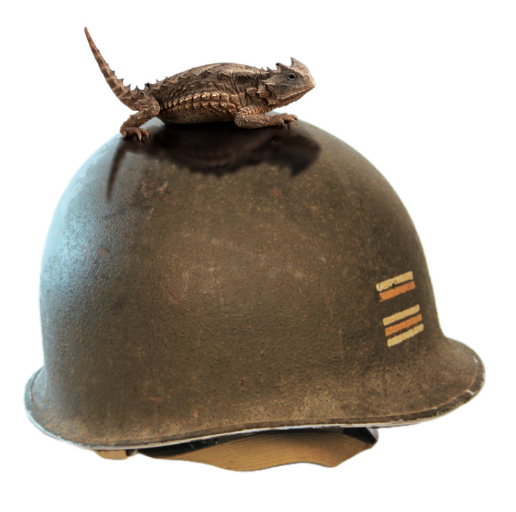 helmet with horned frog