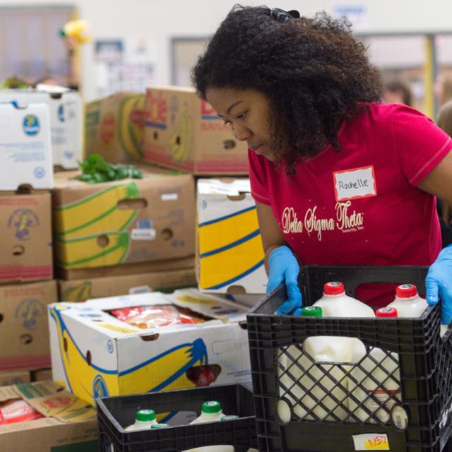 A student helps sort food at a local food bank